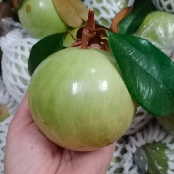 (HỘ KINH DOANH) VÕ THỊ THÙY TRANG